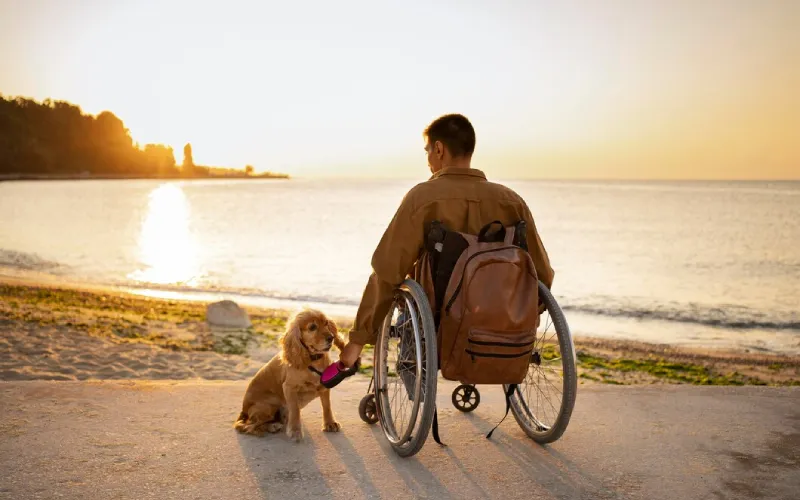 Support worker helping a participant into a car for a trip